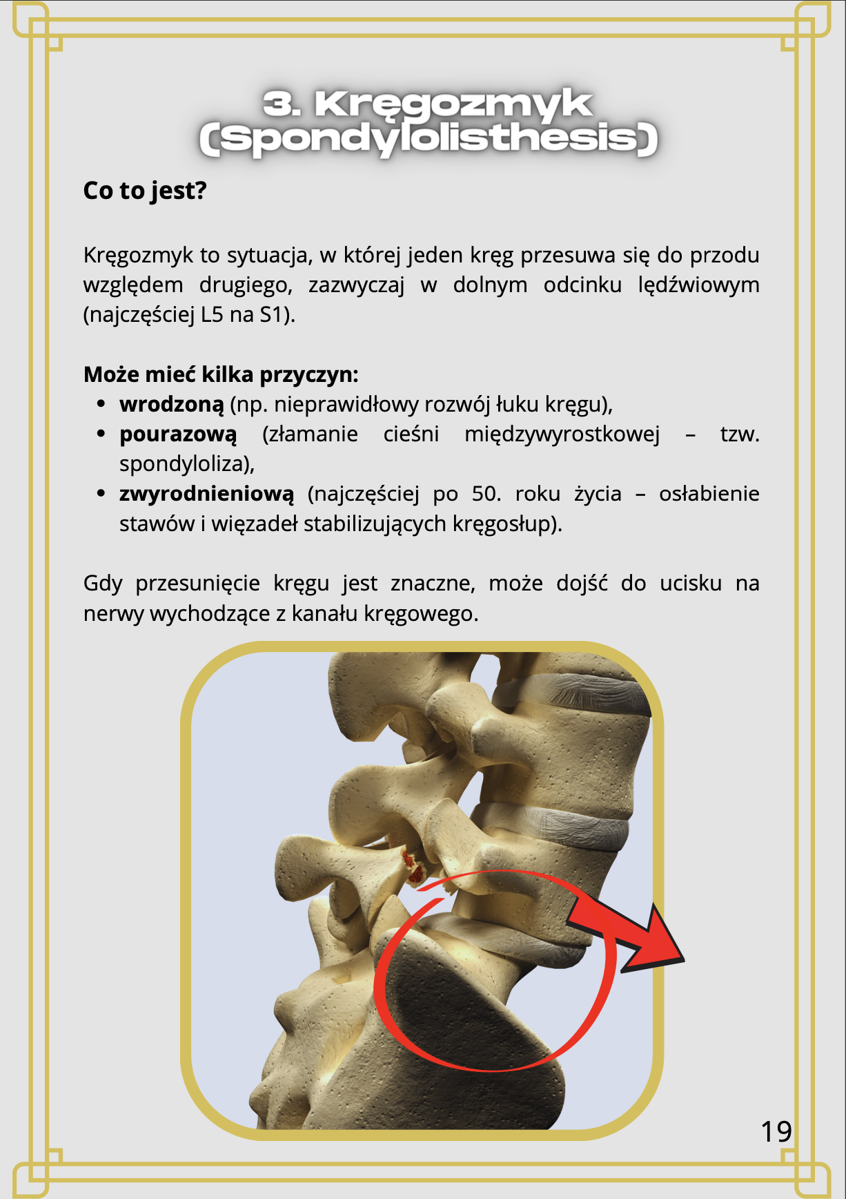 Zrzut ekranu 2025-06-19 o 13.49.49